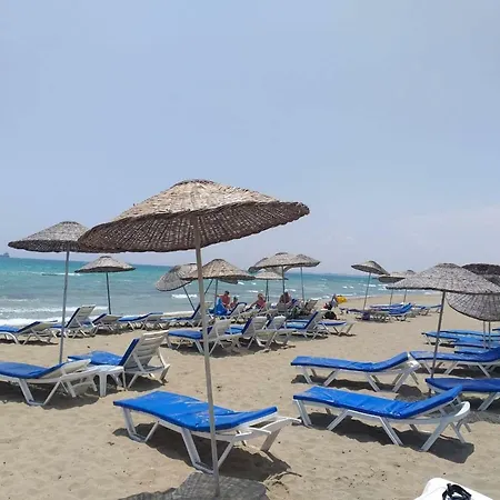 Panorama 44 Agya Napa *